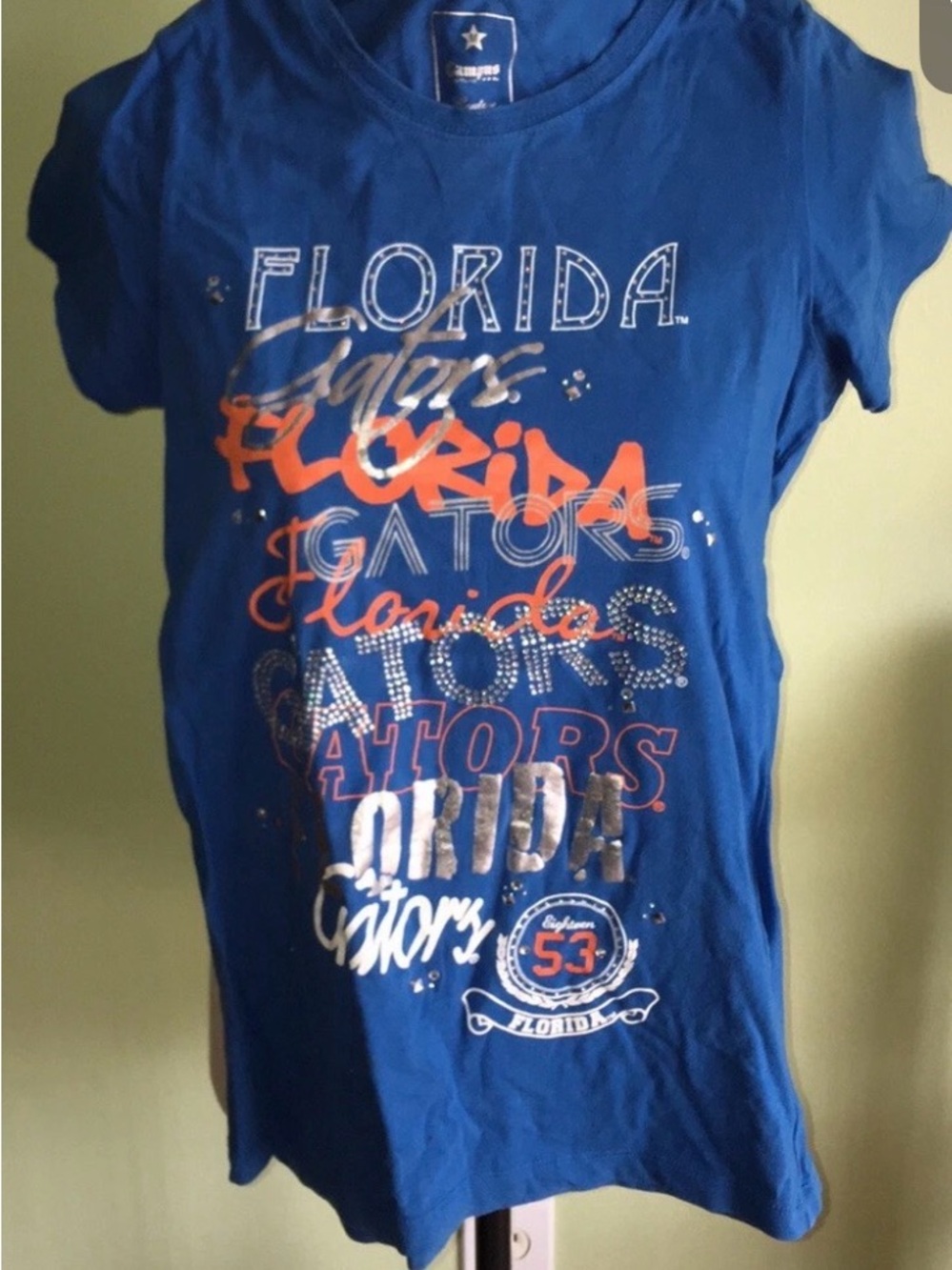 Florida Gators Graphic Short Sleeve Tee - Blue